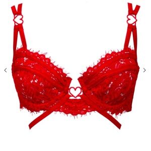 For Love and Lemons Rosa Heart Valentines lingerie bra